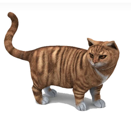 3D Printed Cat For Sale Online in USA