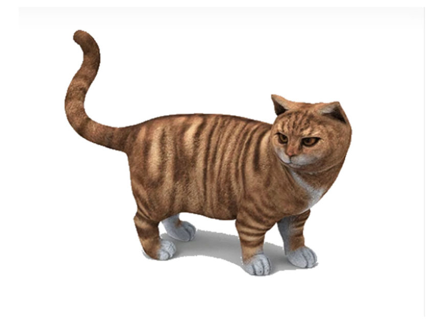 3D Printed Cat For Sale Online in USA